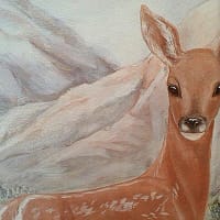 home-leistungen-tierportraets
